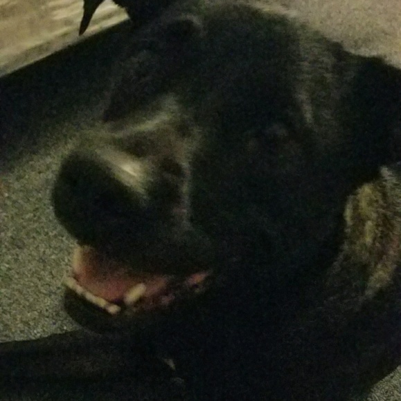 Meet your Posher, Jya - Picture 1 of 1